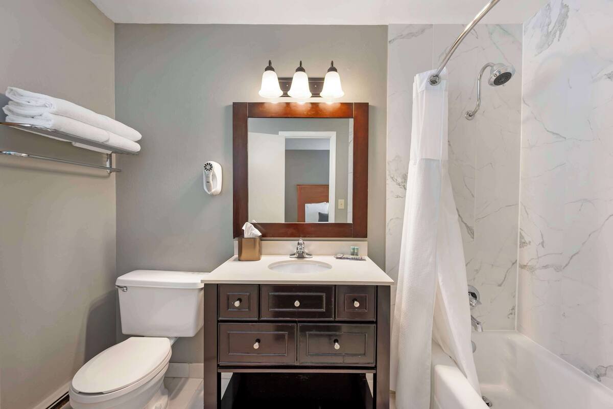 hair dryer, towels, toilet paper