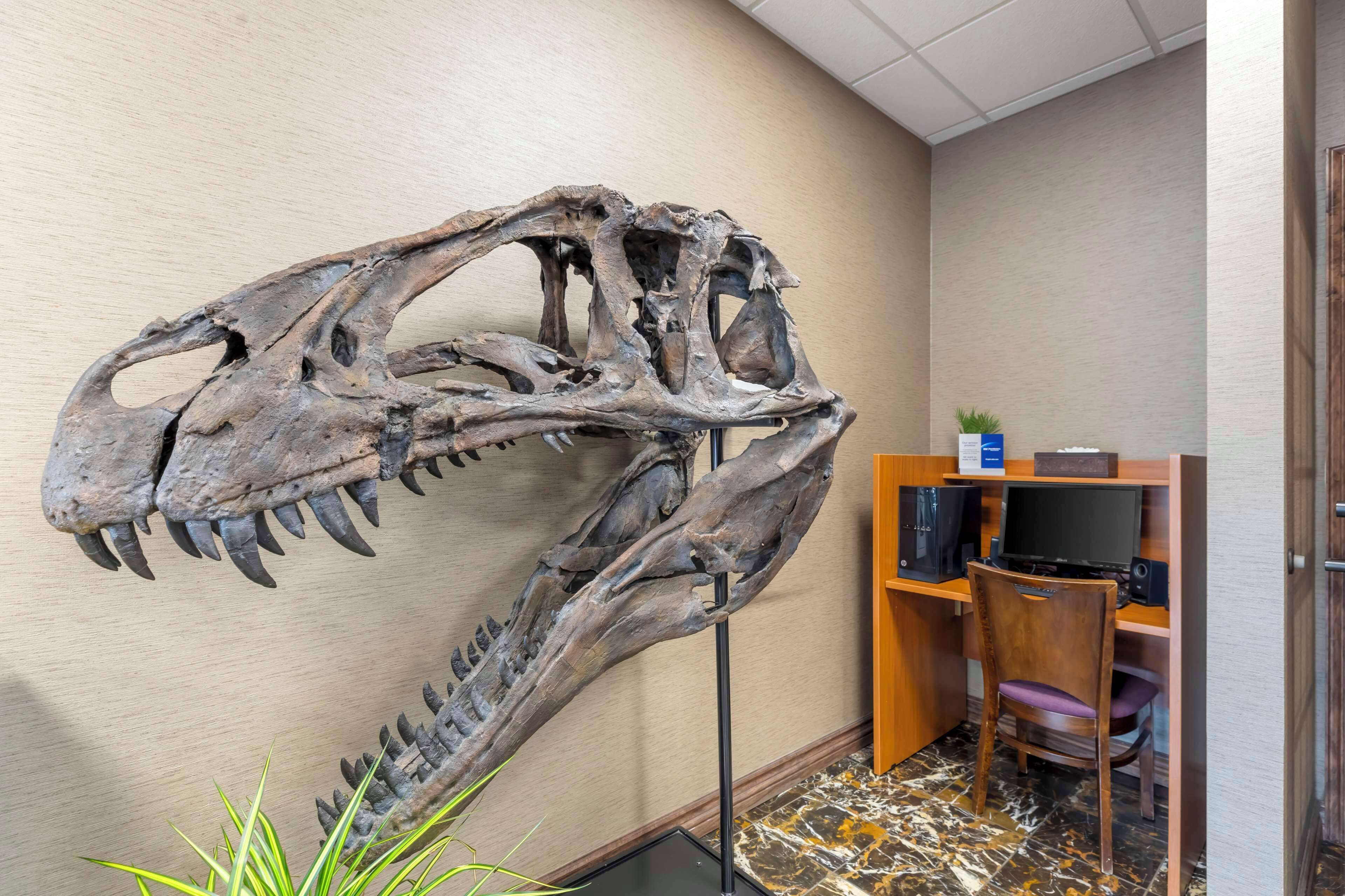 Un cráneo de dinosaurio montado en una pared de una habitación con un escritorio y una computadora.