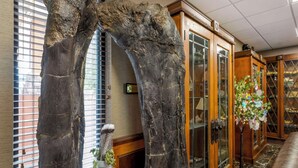 A reception area with a large fossil display, wooden cabinets, and a potted plant. - Best Western Denver Southwest (Lakewood)