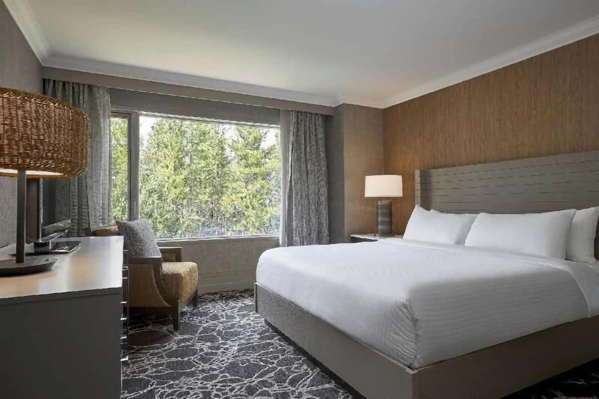 Premium bedding, pillowtop beds, minibar, in-room safe