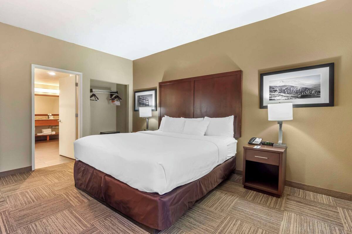 A hotel room with a large bed, a bedside table with a lamp, a framed picture on the wall, and a wardrobe with a mirror.