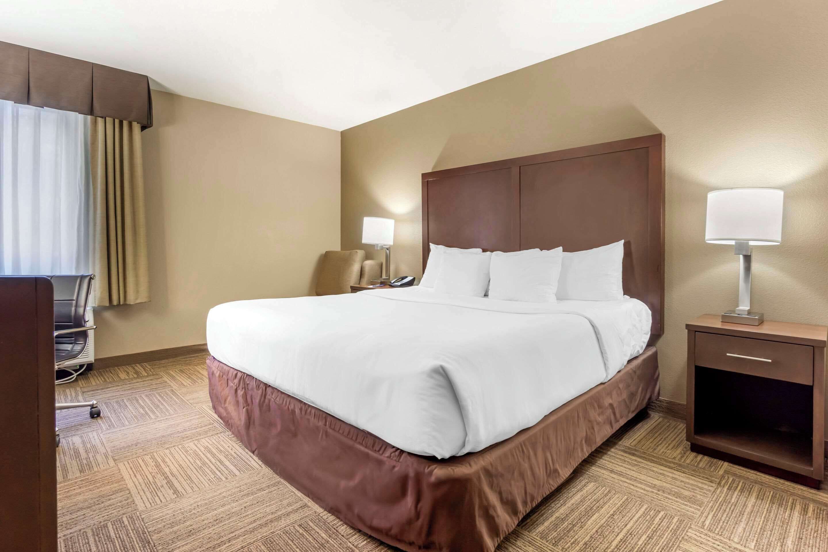 A hotel room with a large bed, a nightstand with a lamp, a chair, and a desk with a chair.