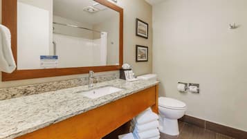 A bathroom with a granite countertop sink, a white toilet, and a large mirror.