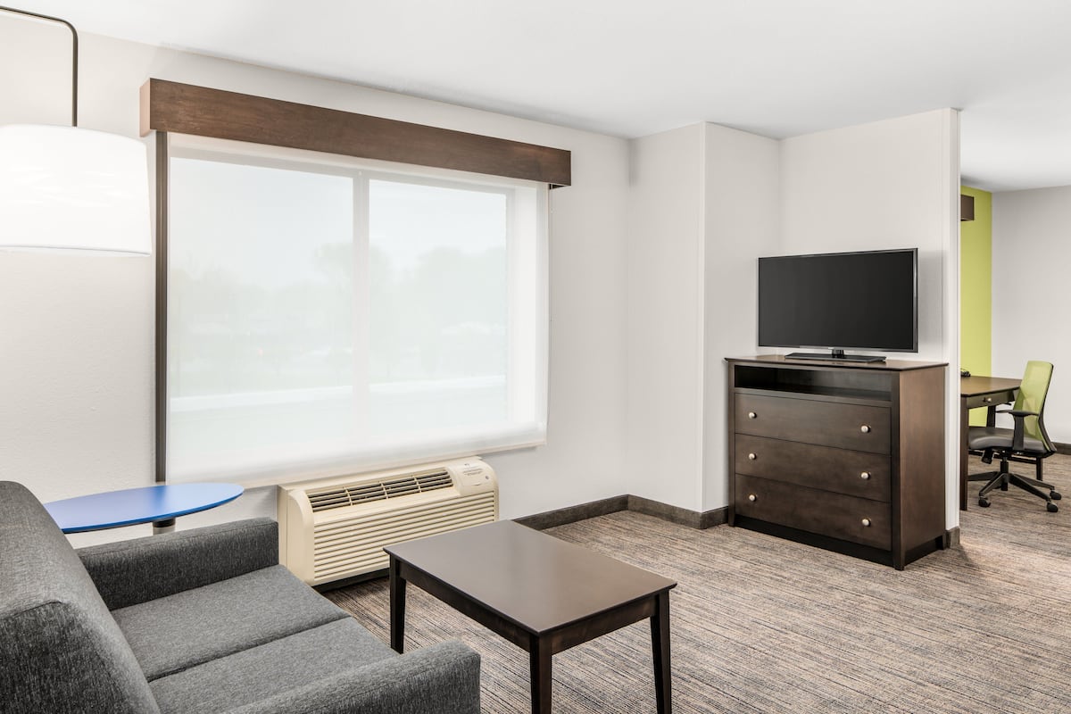 Suite, 1 King Bed with Sofa bed