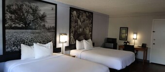 Super 8 by Wyndham Austin South / I-35