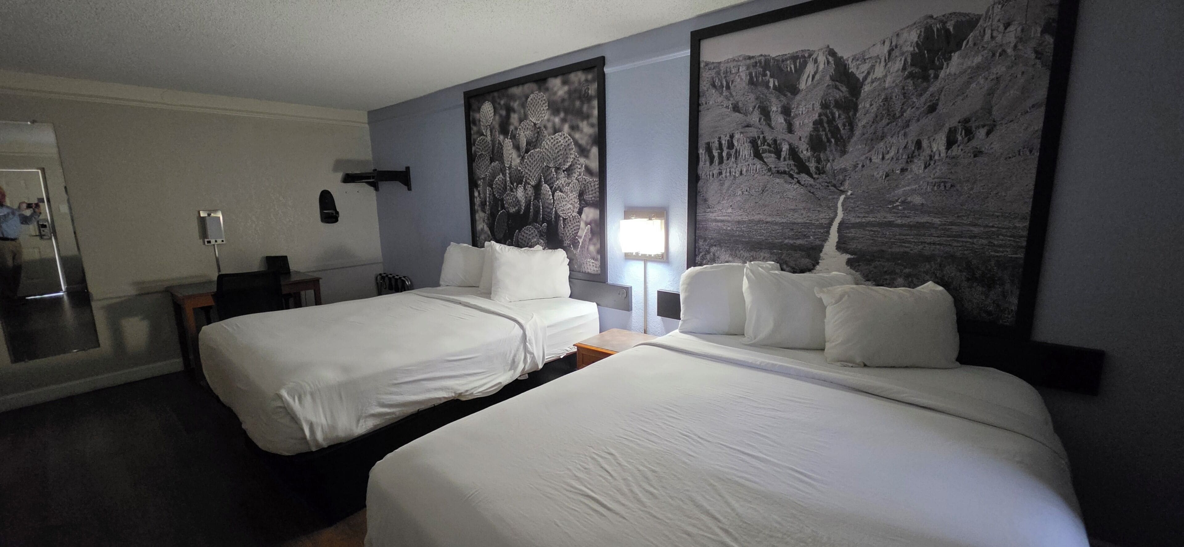 Photo - Super 8 by Wyndham Austin South / I-35
