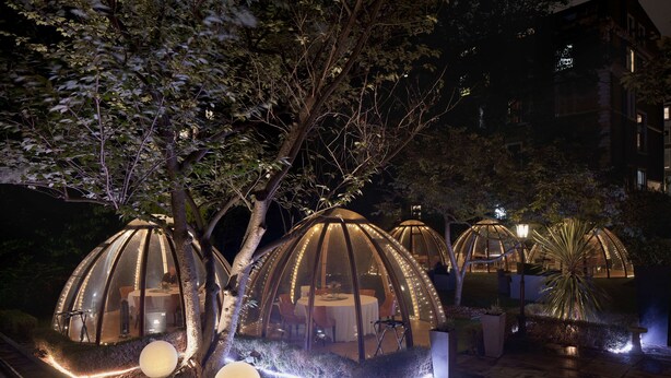 Structures transparentes en forme de dôme, dotées d’un éclairage intérieur, entourées d’arbres et avec un bâtiment visible au loin.