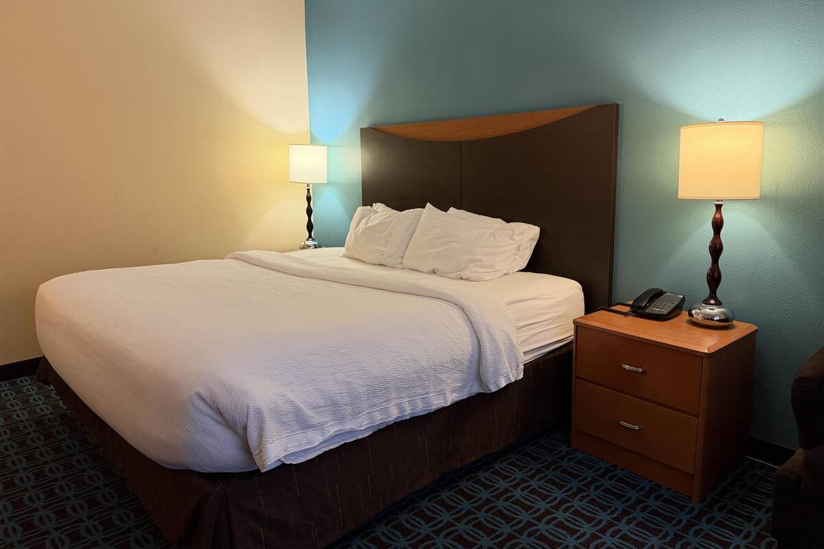 Standard Room, 1 Queen Bed, Non Smoking | Premium bedding, desk, laptop workspace, blackout drapes