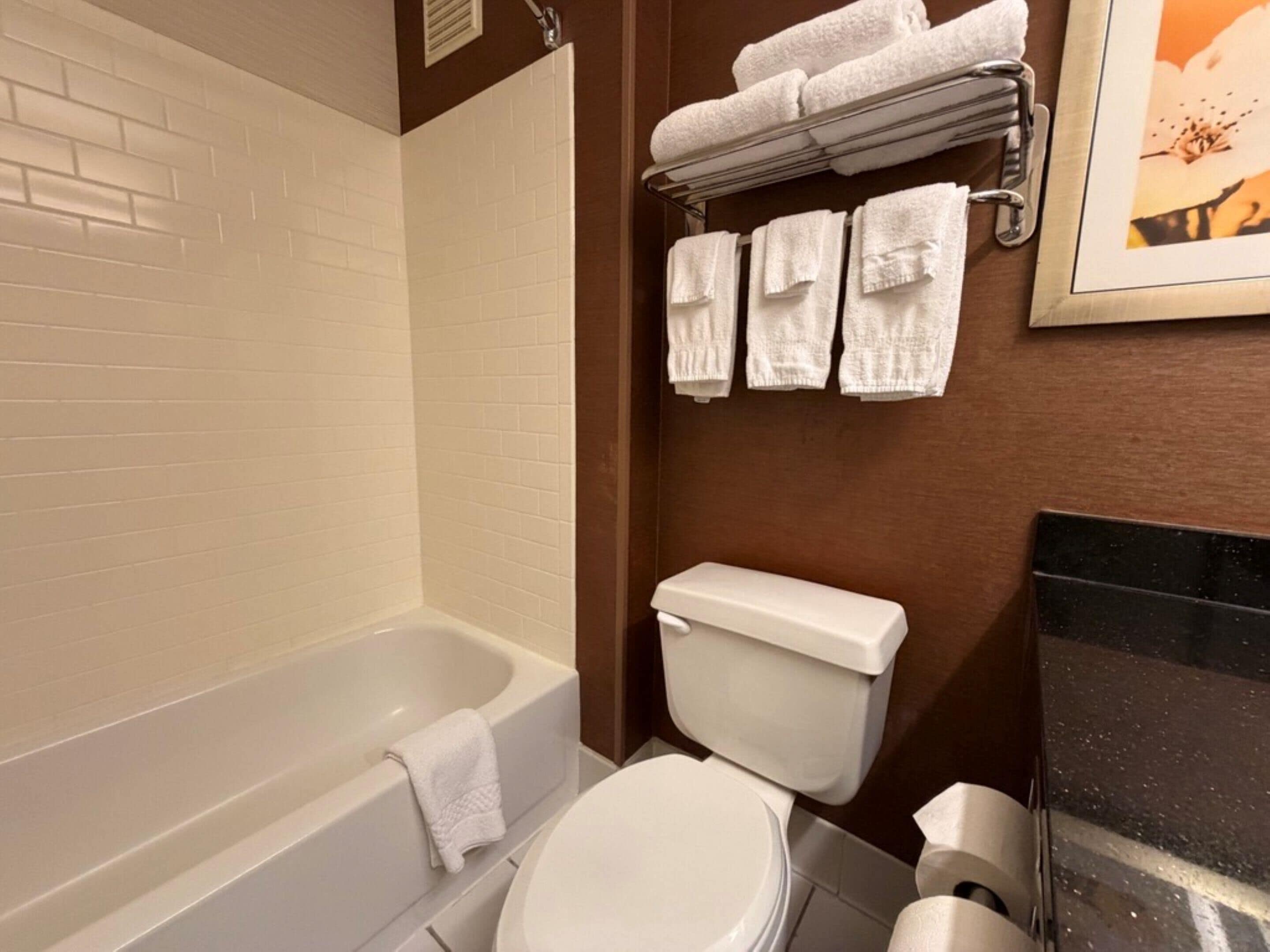 Standard Room, 1 King Bed, Non Smoking | Bathroom | Combined shower/tub, free toiletries, hair dryer, towels