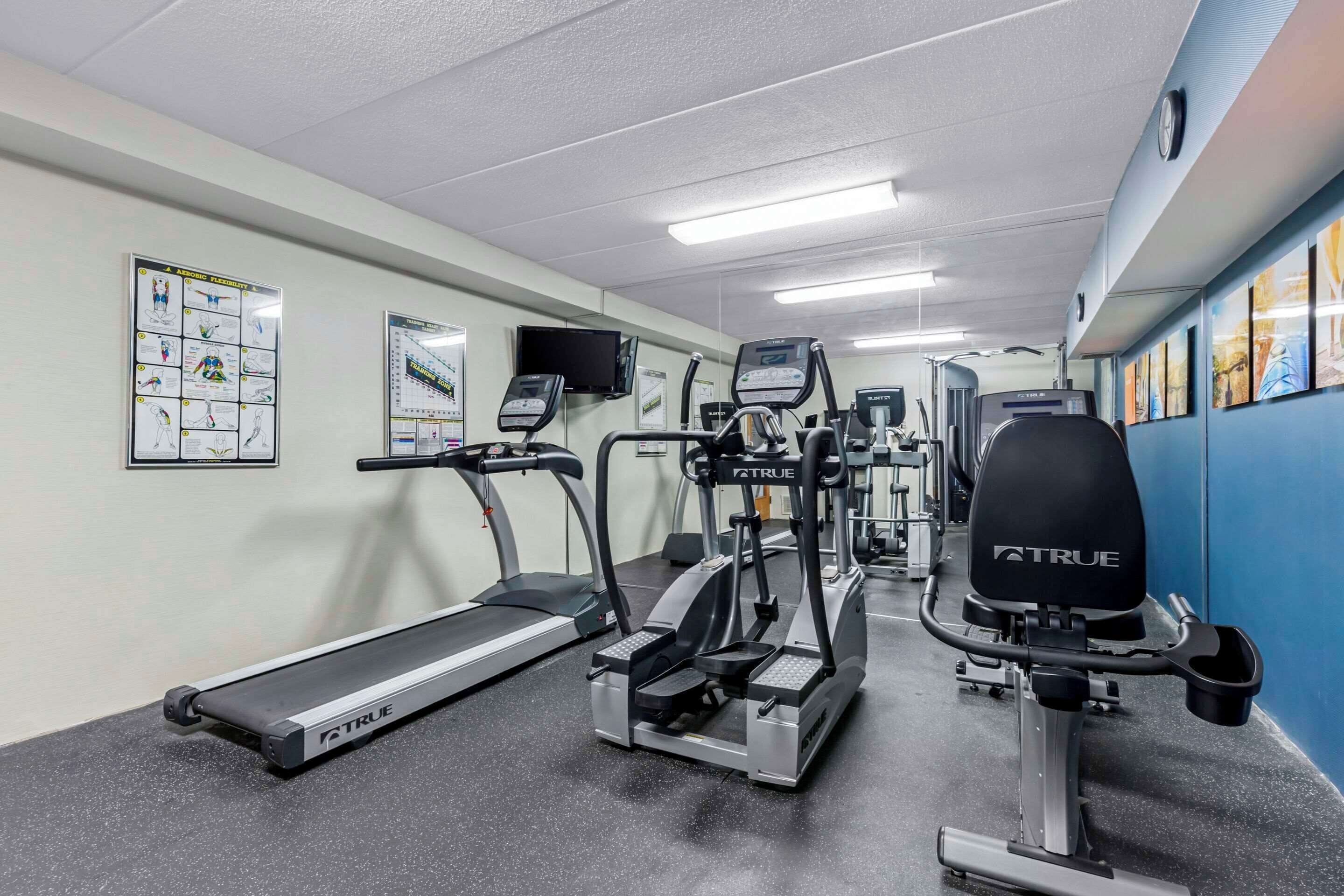 Un gimnasio con cintas de correr, elípticas y equipo de pesas.