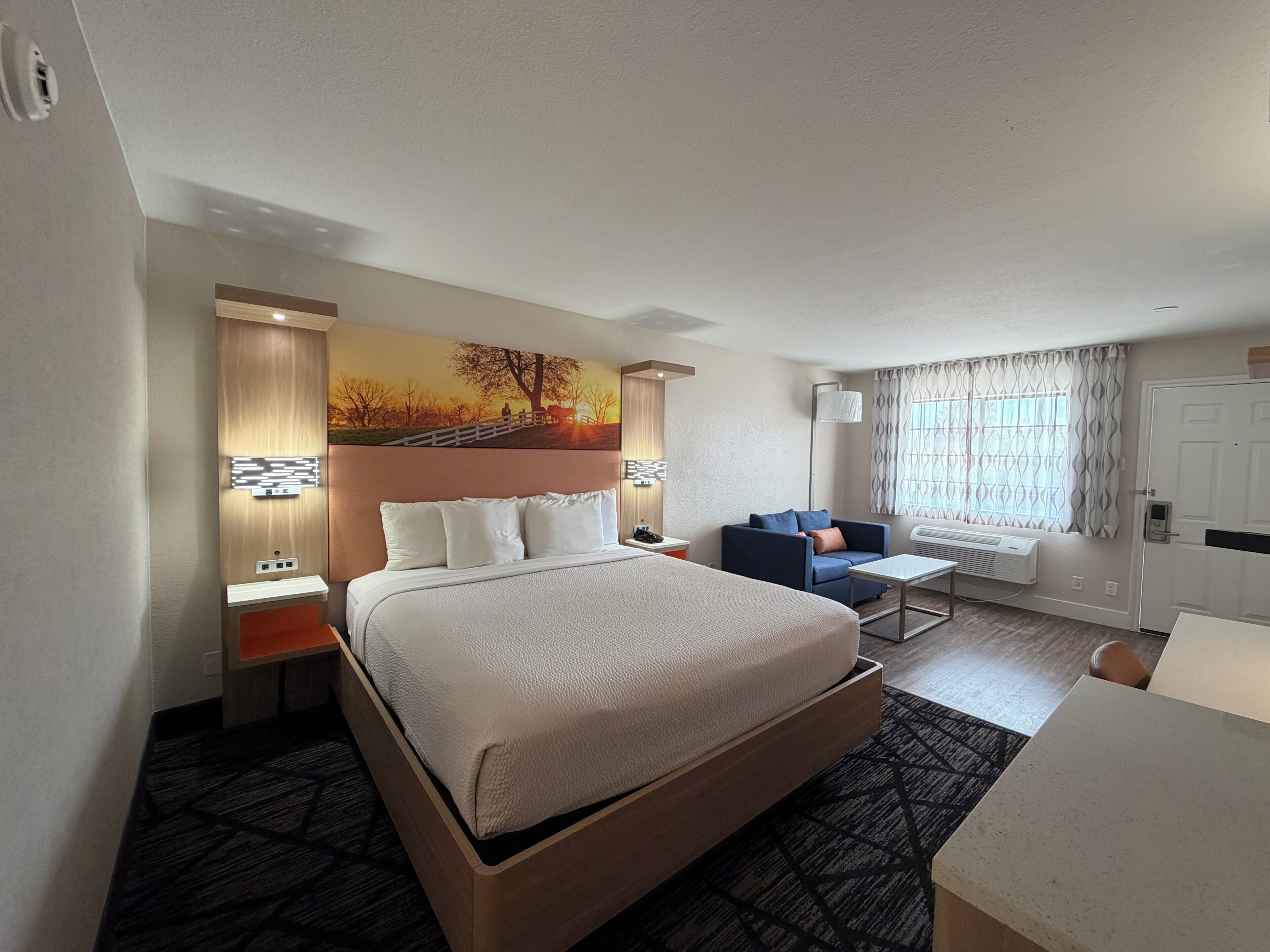 Standard Room, 1 King Bed, Non Smoking | Laptop workspace, blackout drapes, iron/ironing board, free WiFi