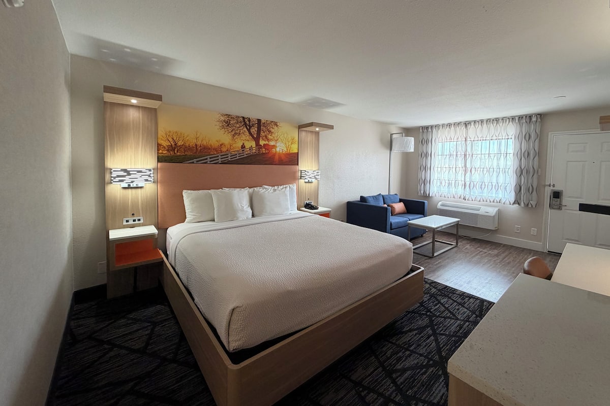 Habitación estándar, 1 cama King size, para no fumadores | Espacio para trabajar con laptop y cortinas blackout