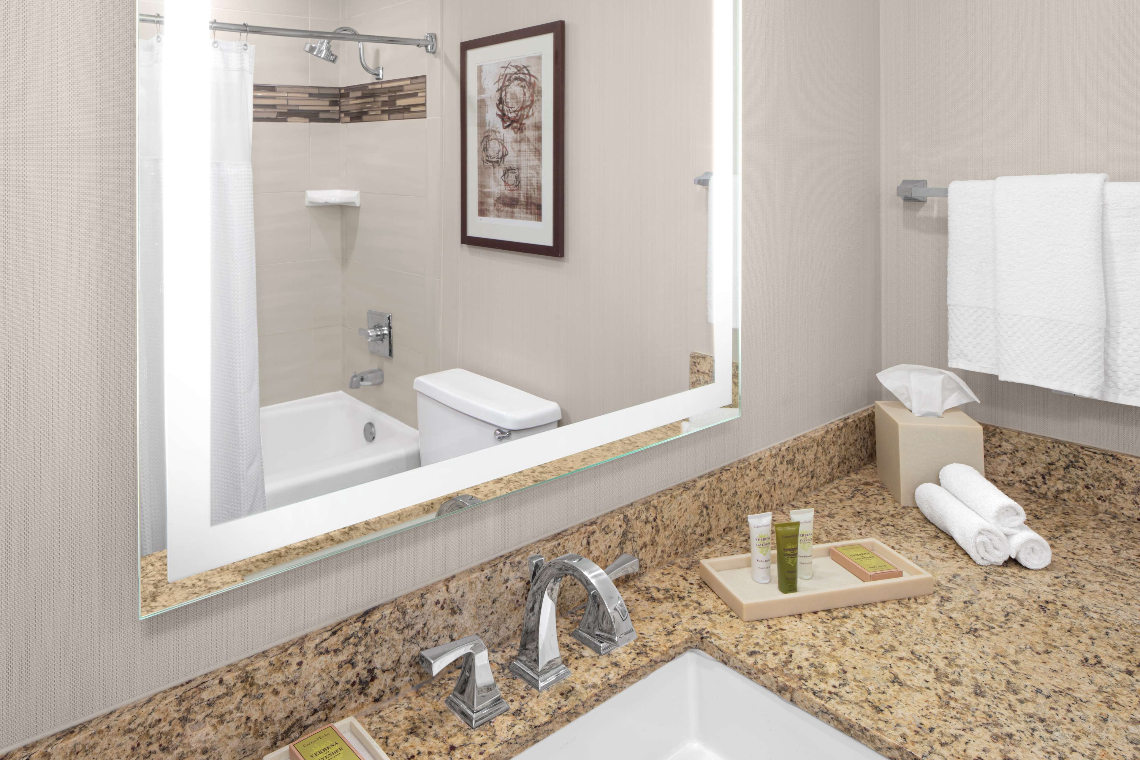 combined shower/bathtub, free toiletries, hair dryer, towels