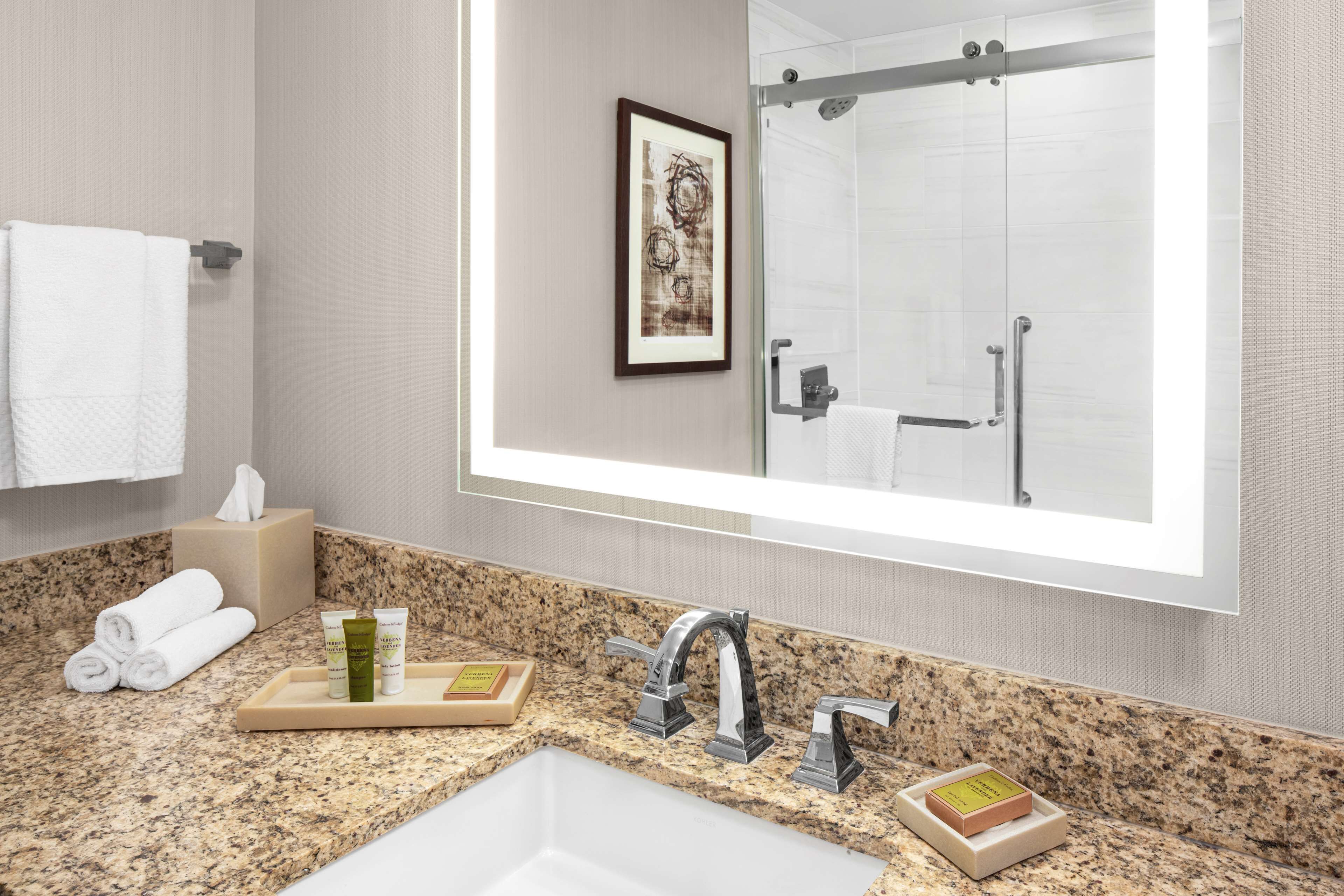 combined shower/bathtub, free toiletries, hair dryer, towels