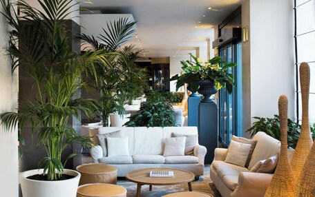 A modern living room with a sofa, ottomans, a coffee table, and large potted plants.