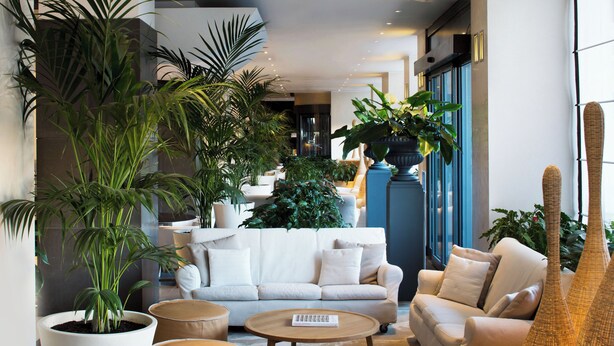 Una sala de estar moderna con sofá, otomanes, una mesa de centro y plantas grandes en macetas.