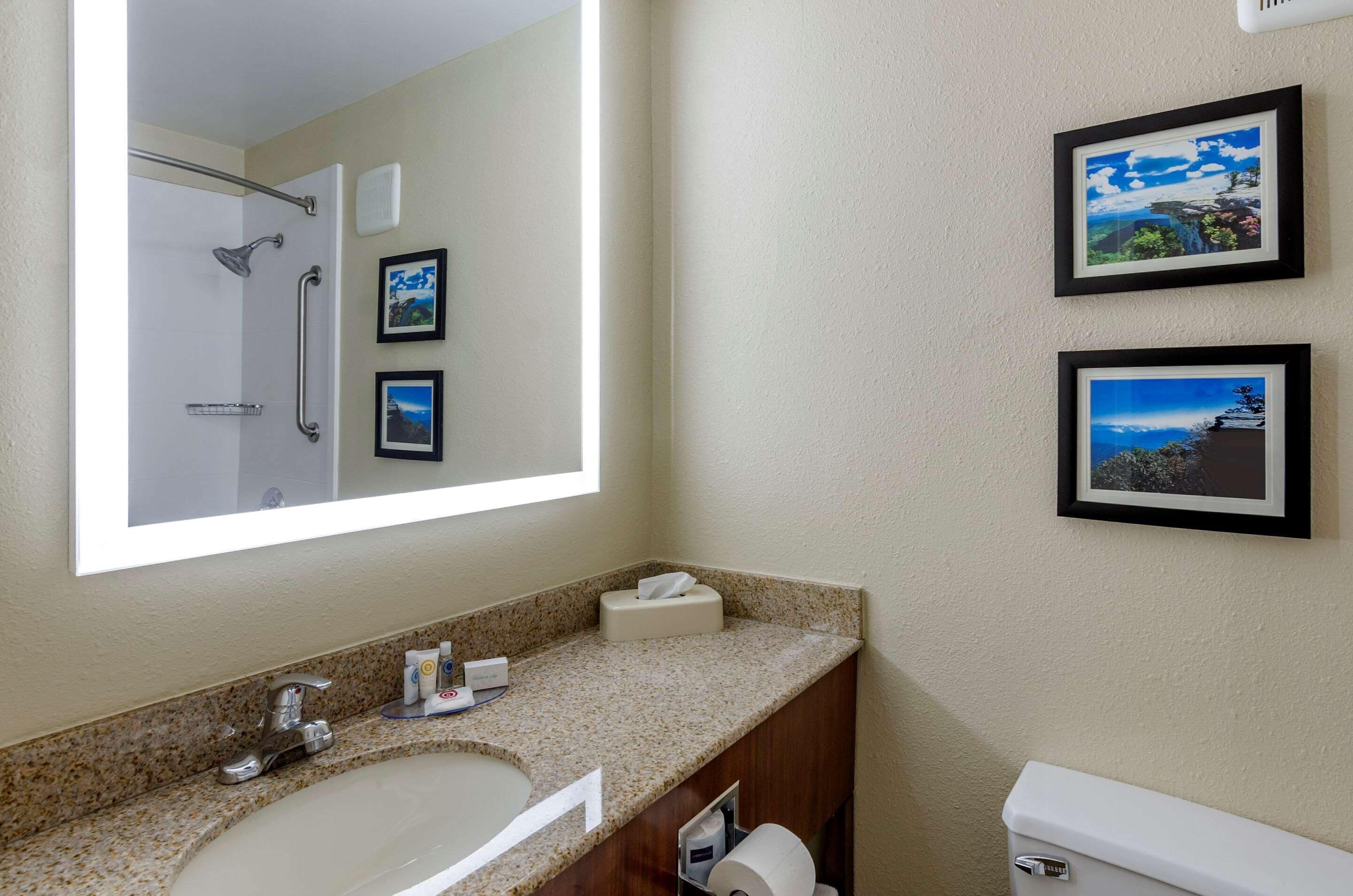 A bathroom with a sink, mirror, framed pictures, and a shower.