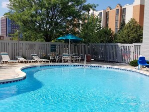 Seasonal outdoor pool, sun loungers
