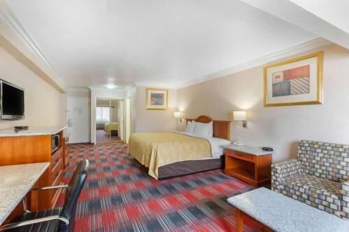 Una habitación de hotel con cama, escritorio, silla, televisor y alfombra estampada.