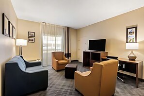 Standard Room, Multiple Beds, Non Smoking, Refrigerator (with Sofabed) | Desk, laptop workspace, blackout drapes, iron/ironing board