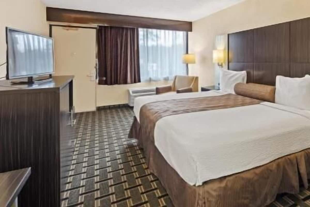 Schreibtisch, laptopgeeigneter Arbeitsplatz, Verdunkelungsvorhänge