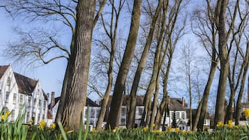 A row of traditional white buildings with steeply pitched roofs, surrounded by tall trees and daffodils in the foreground.