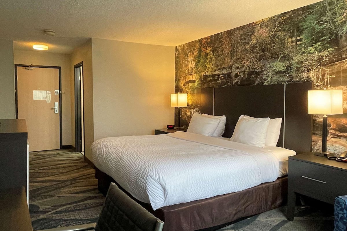 Premium bedding, desk, blackout curtains, soundproofing