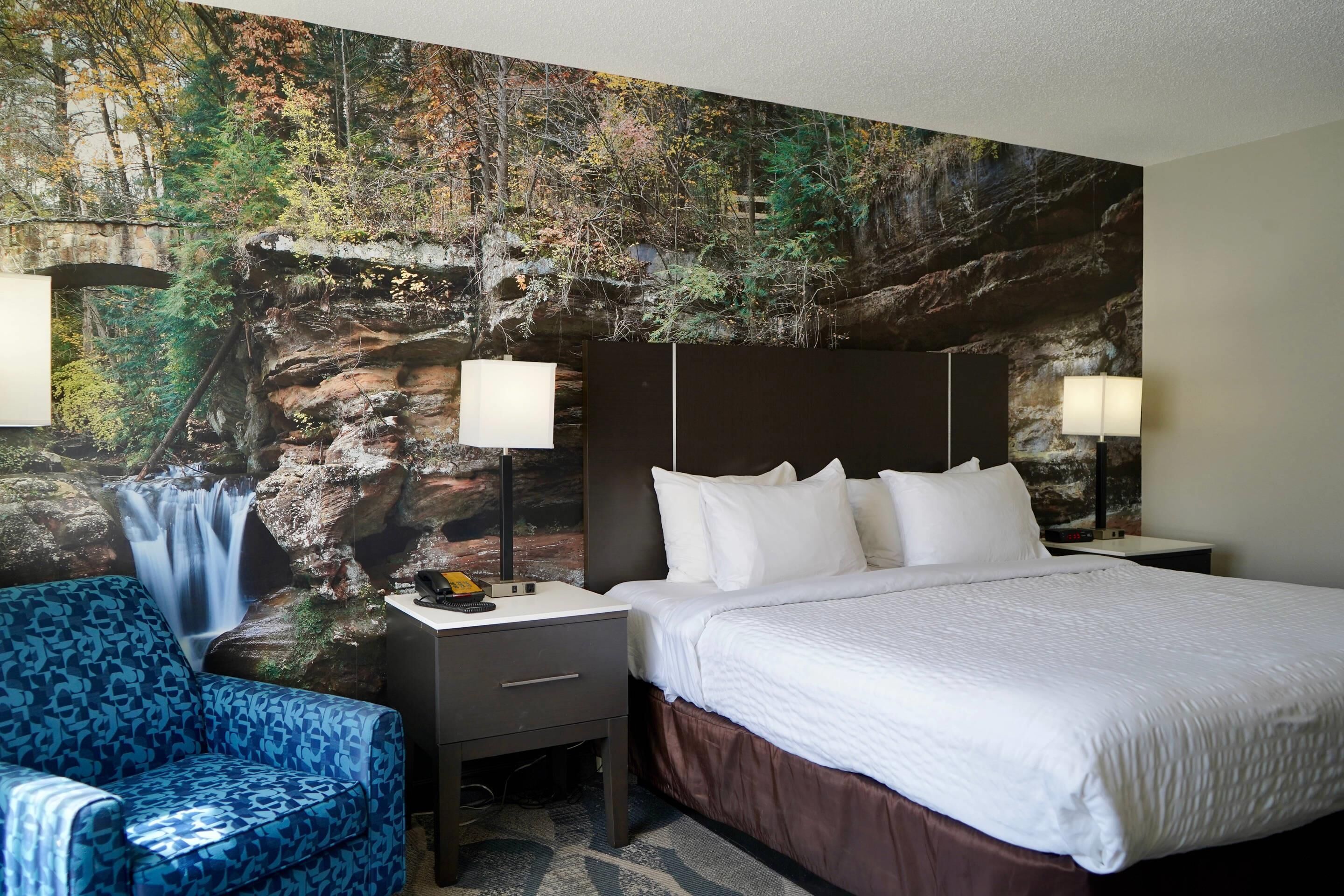 Habitación de hotel con una cama grande, una mesita de noche, una lámpara, una silla y un mural en la pared que muestra una cascada y un bosque.
