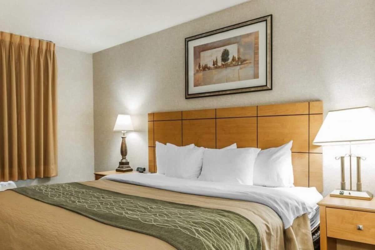 Desk, blackout curtains, iron/ironing board, free WiFi