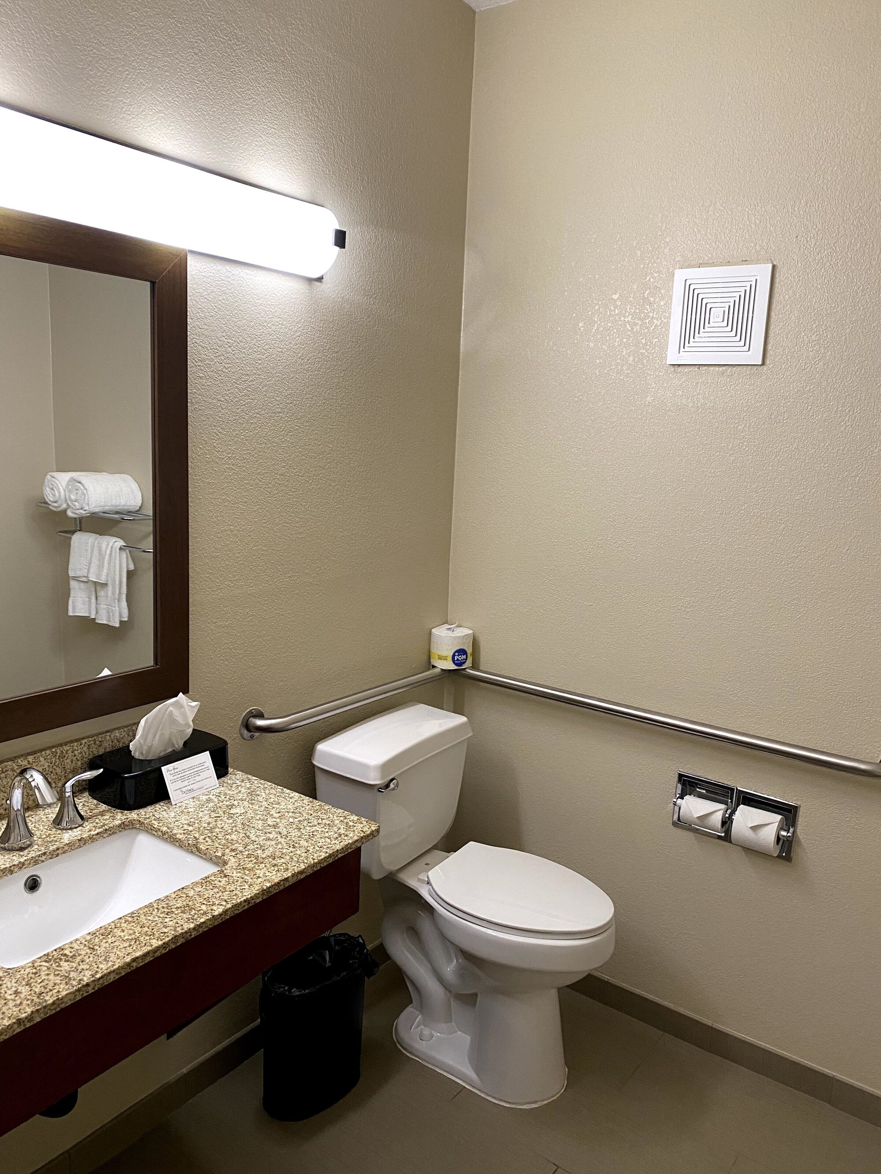 A bathroom with a sink, mirror, toilet, and handrails.