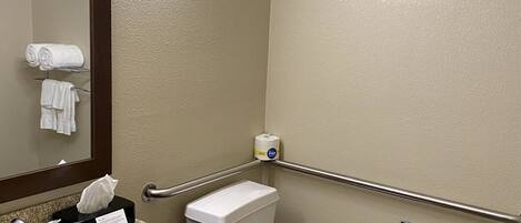A bathroom with a sink, mirror, toilet, and handrails.
