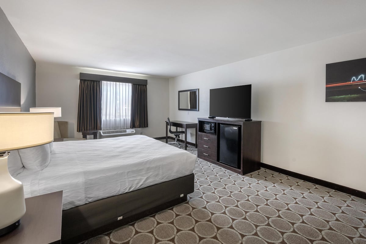 A hotel room with a bed, desk, TV, and a patterned carpet.