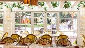 A restaurant with wicker chairs and wooden tables, large windows, and greenery hanging from the ceiling. - Oro Verde Machala (Machala)