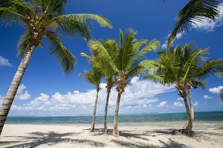 On the beach, white sand, beach towels