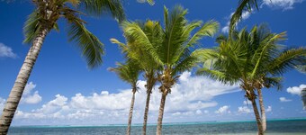 Sugar Beach Condo Resort