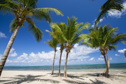 Sugar Beach Condo Resort