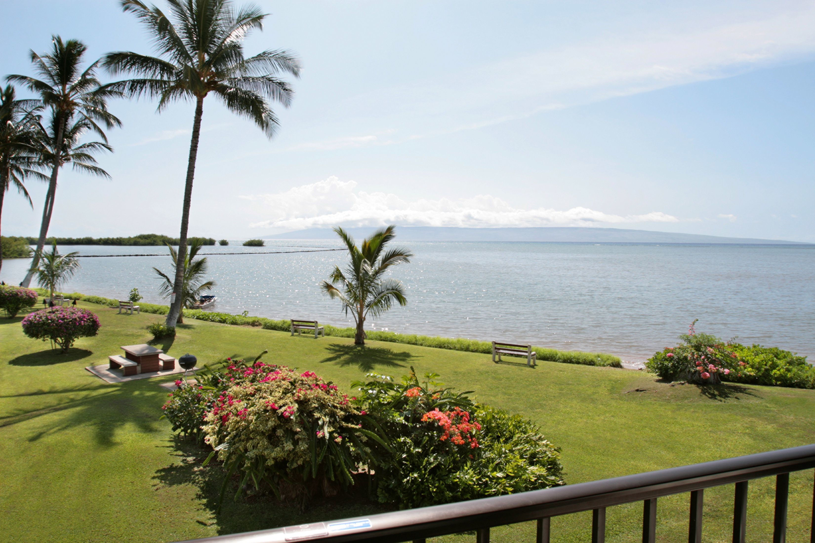 Standard Room, 1 Bedroom, Oceanfront | Pemandangan pantai/laut