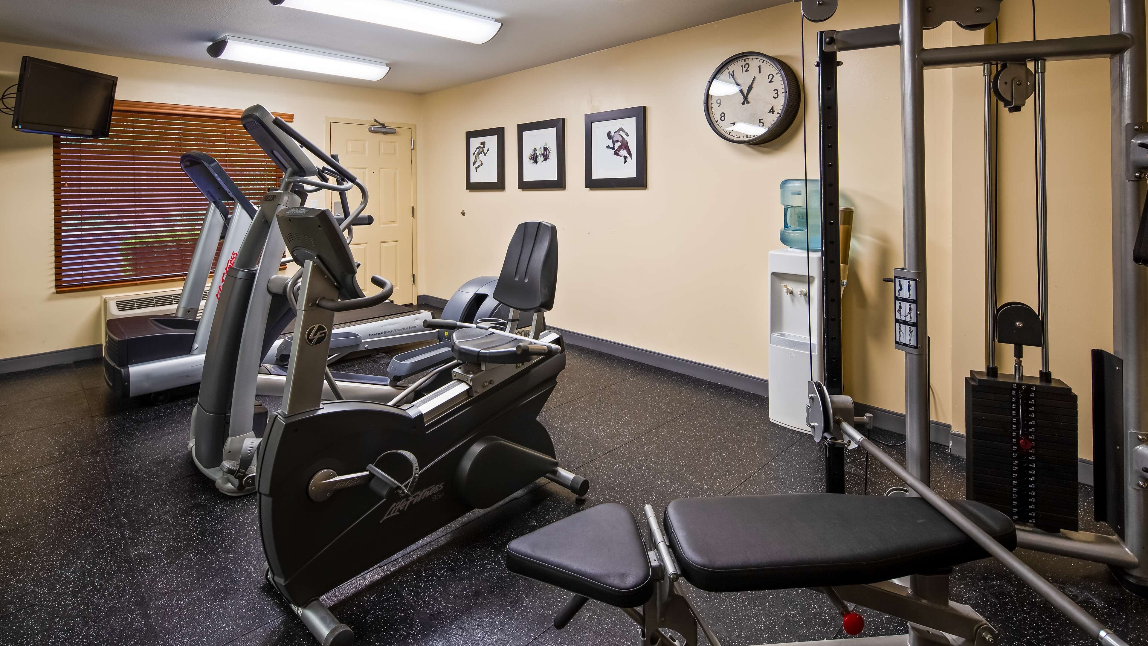 A gym with treadmills, a stationary bike, a bench press, and a squat rack.