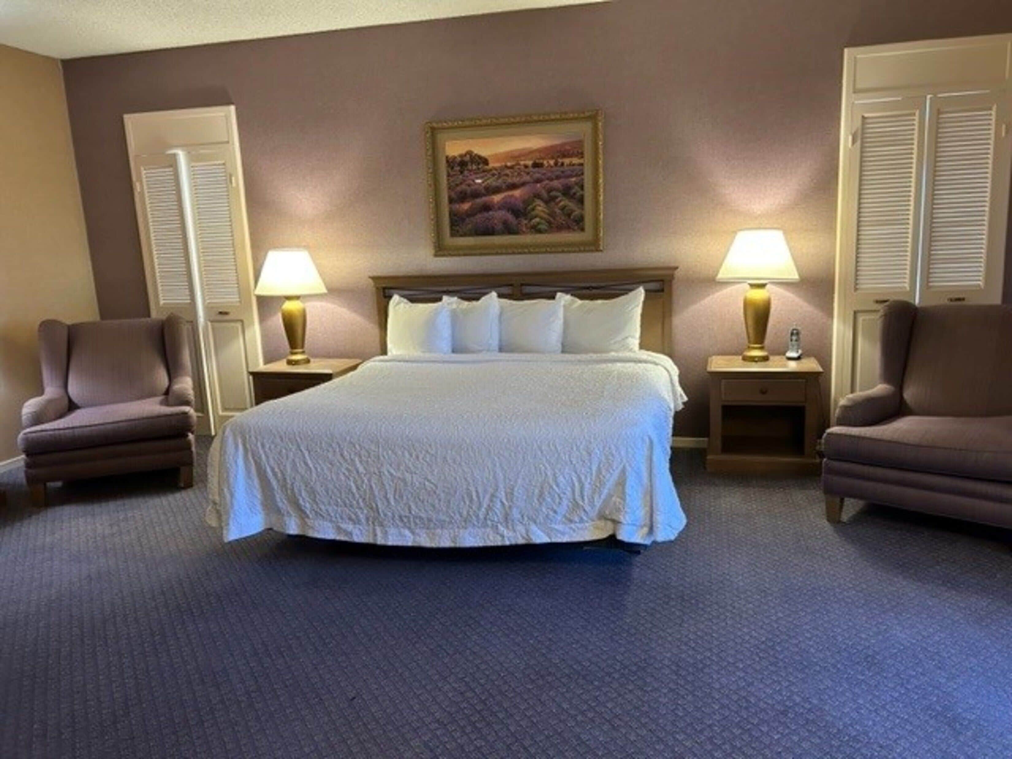 junior suite | down duvets, desk, blackout curtains, iron/ironing board