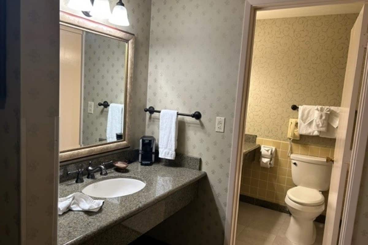 suite, 1 bedroom | bathroom | combined shower/bathtub, free toiletries, hair dryer, towels