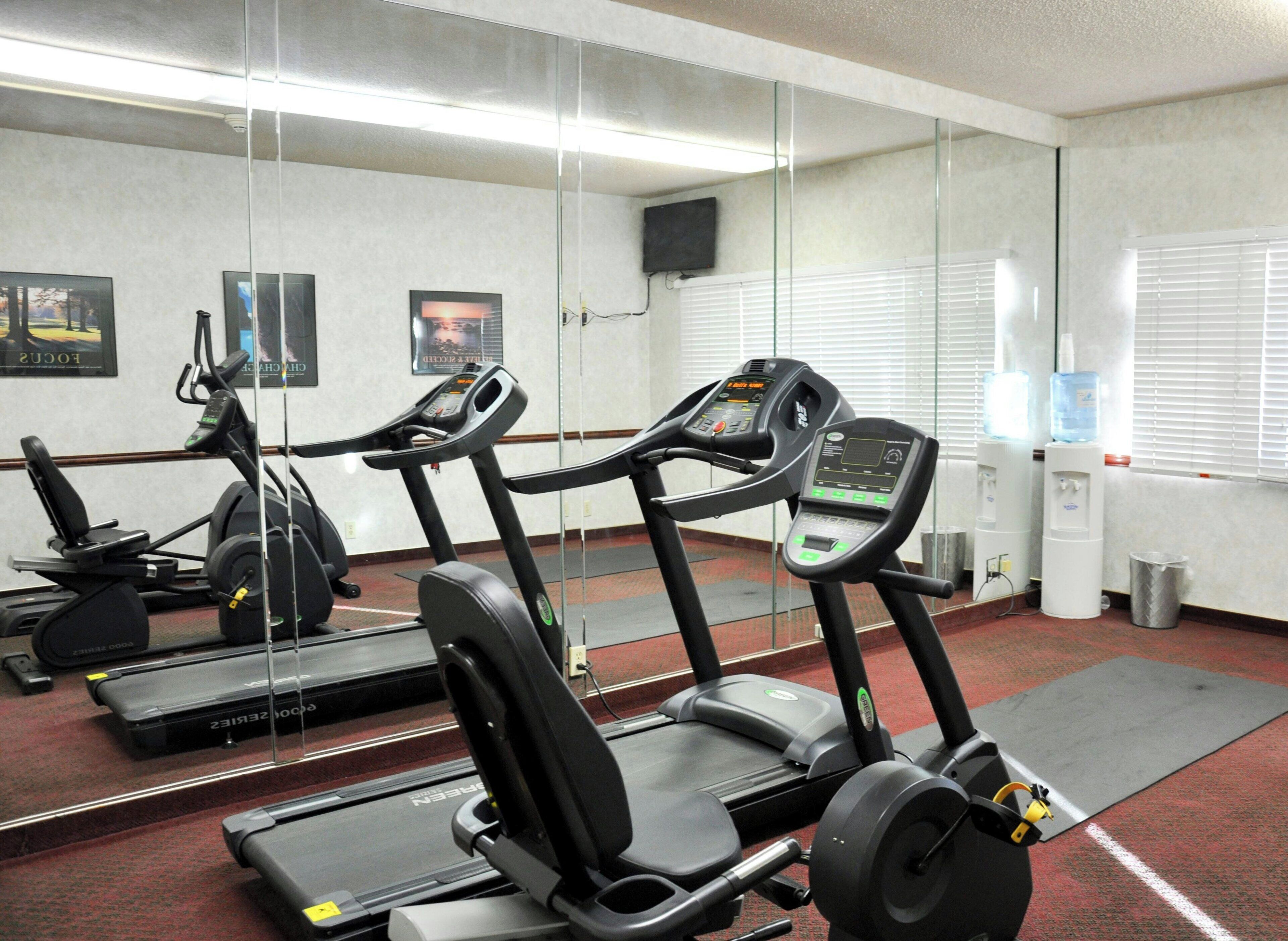 A gym with treadmills, a weight bench, and exercise equipment.