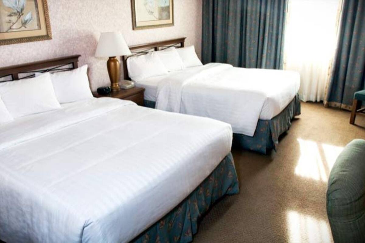 down duvets, desk, blackout curtains, iron/ironing board