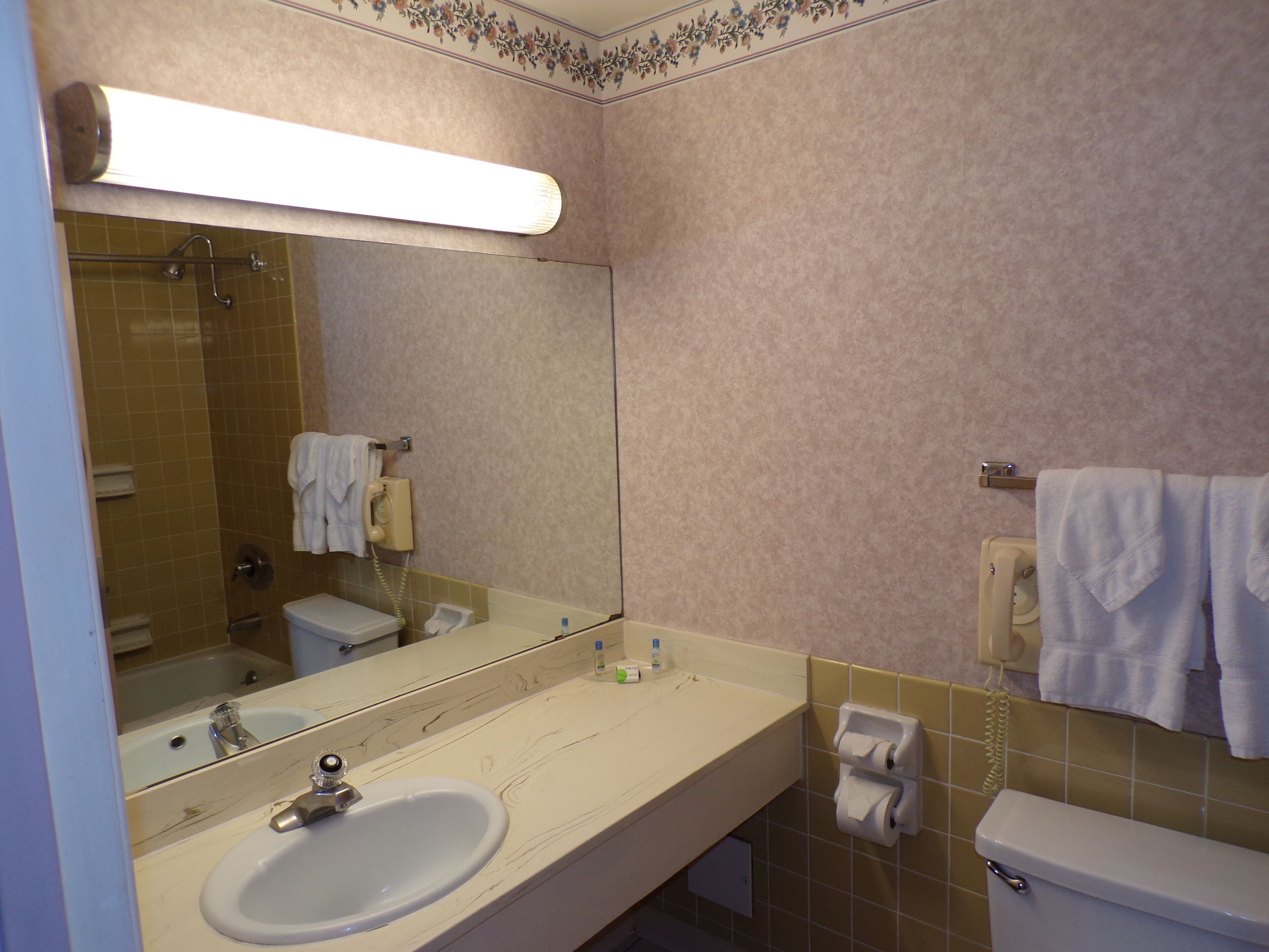 Combined shower/tub, free toiletries, hair dryer, towels