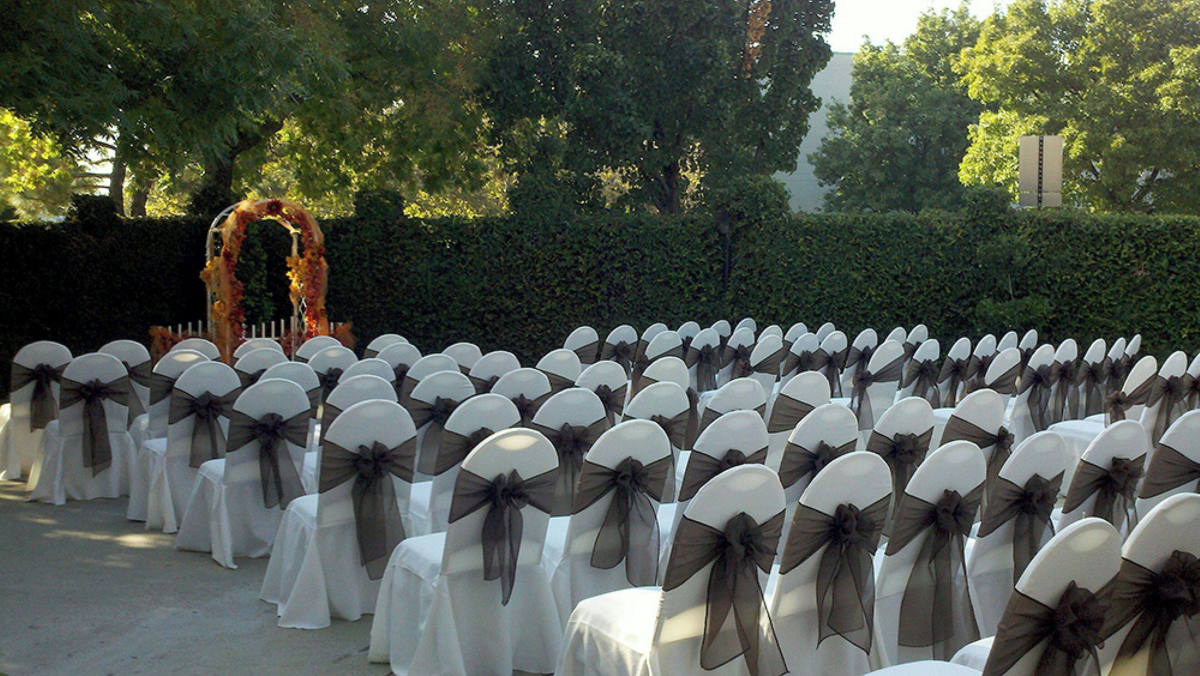 Rows of chairs with white covers and dark sashes, arranged for an event.
