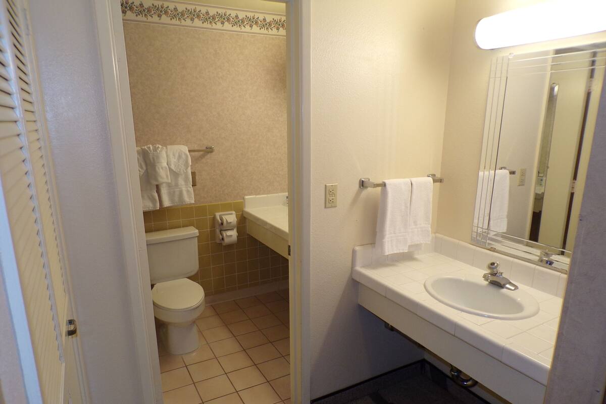 Une salle de bain avec des toilettes, un lavabo et un miroir.
