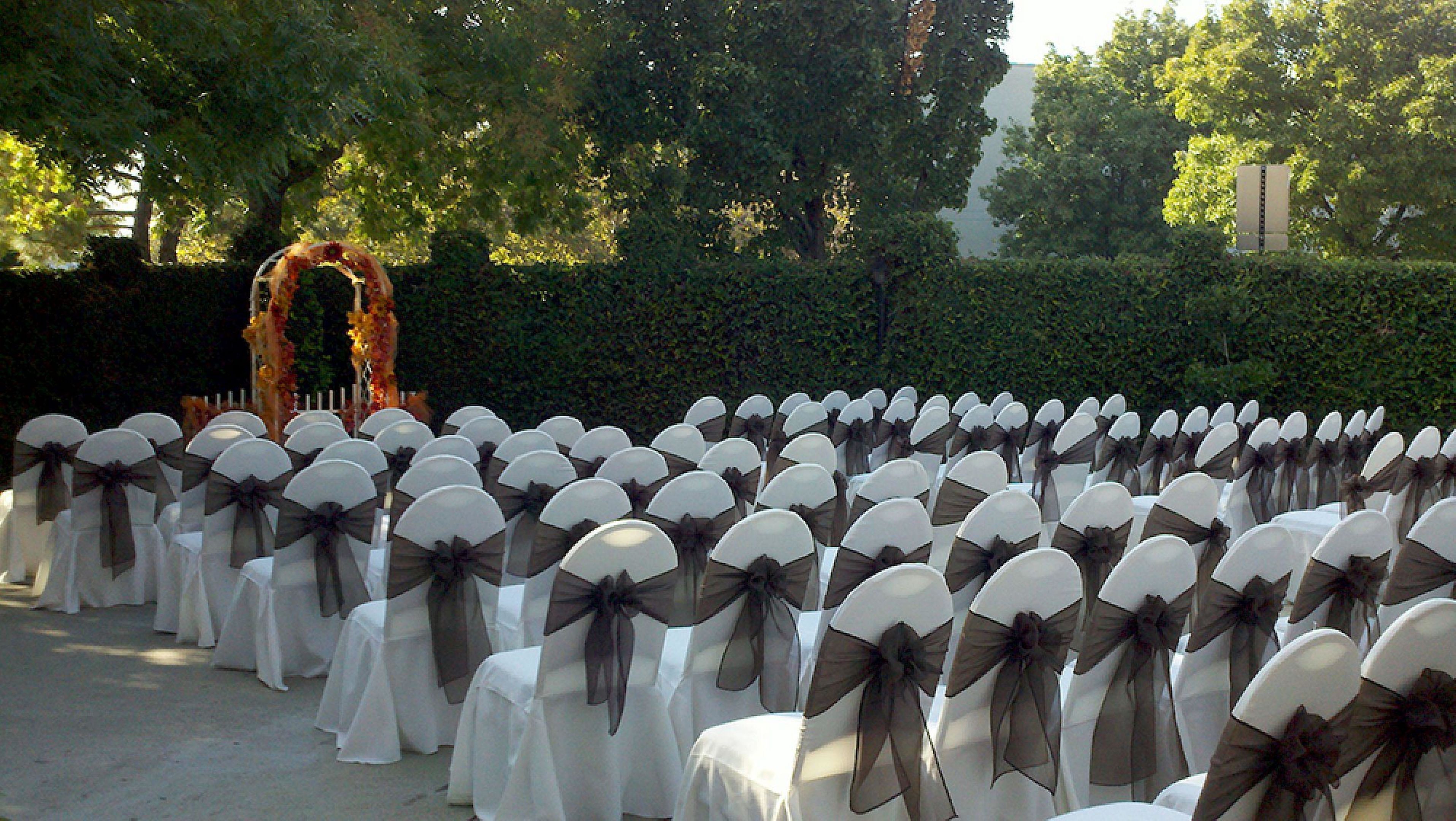 Rows of chairs with white covers and dark sashes, arranged outdoors with a backdrop of trees and a hedge.