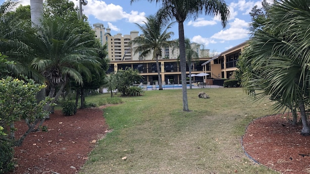 Un patio ajardinado con palmeras, una piscina y un edificio con varios balcones.