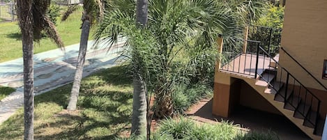Jardín