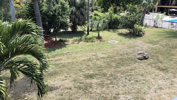 Courtyard view