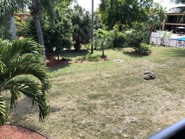 Vista al patio